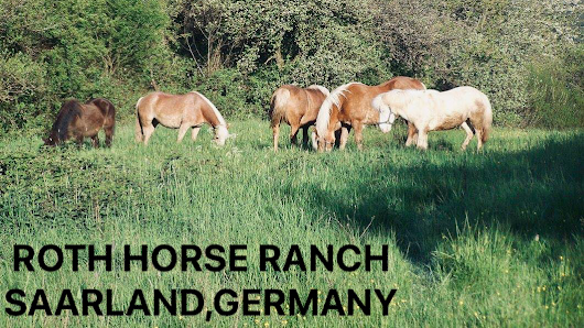Roth Horse Ranch
